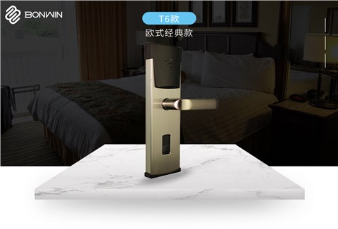 T6款——?dú)W式經(jīng)典